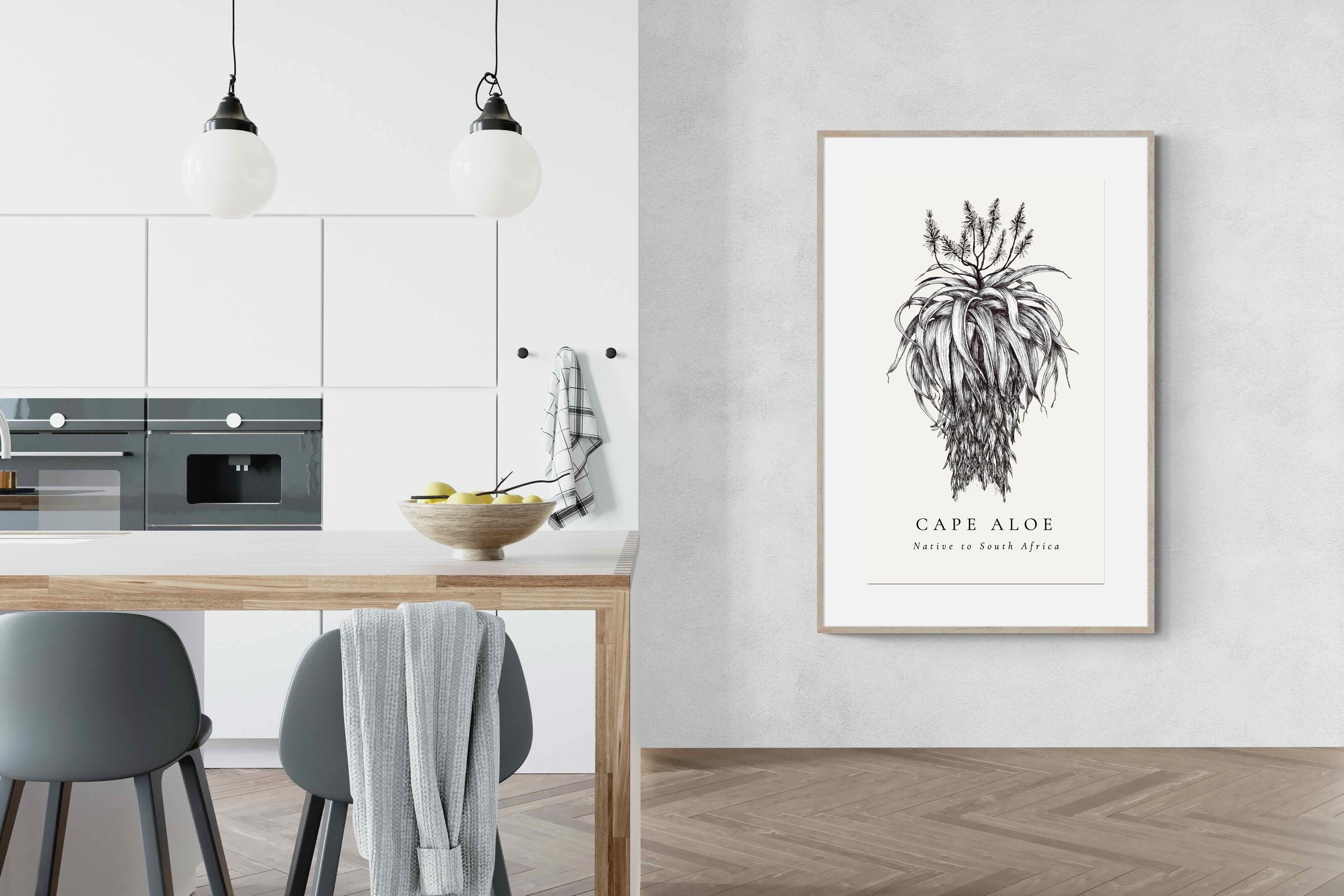 Pixalot ® Cape Aloe Illustration