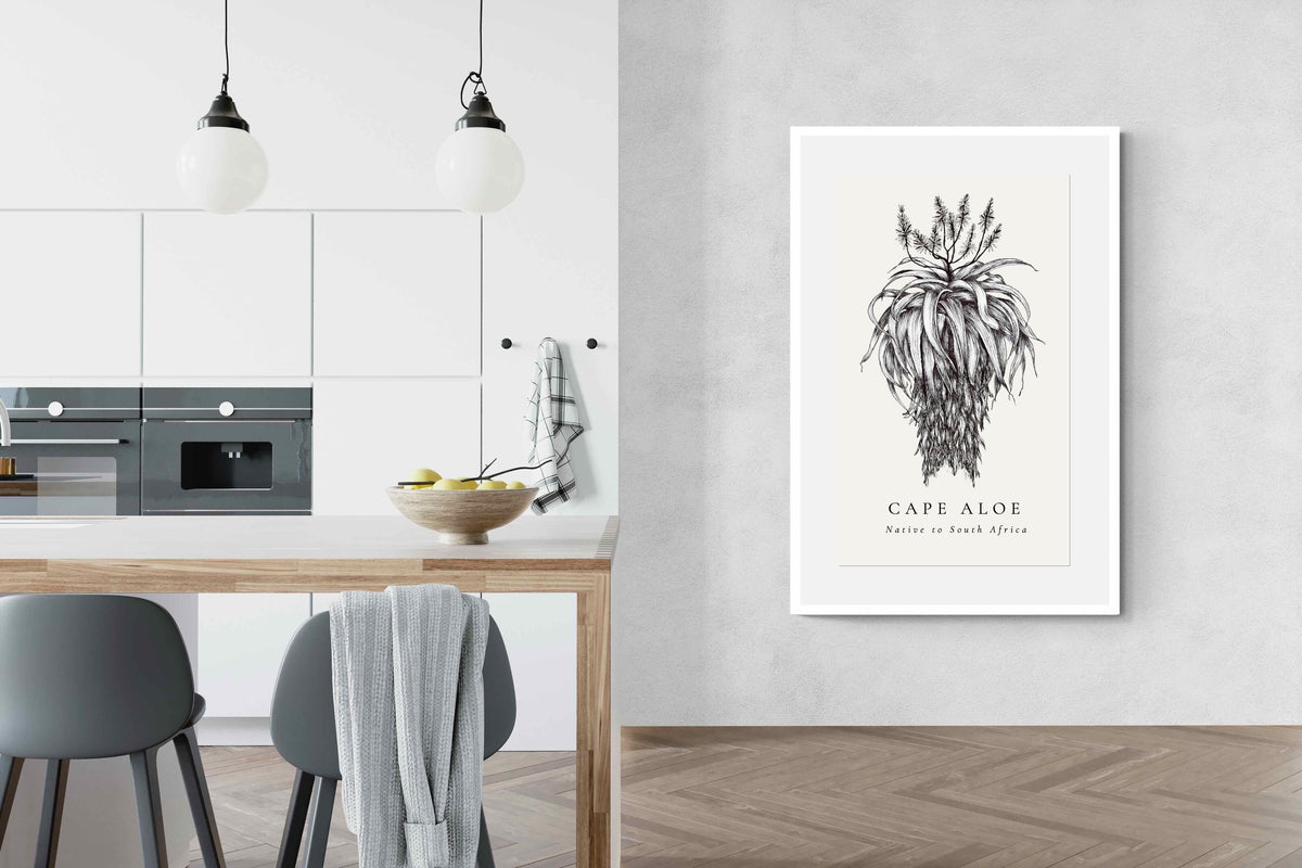 Pixalot ® Cape Aloe Illustration