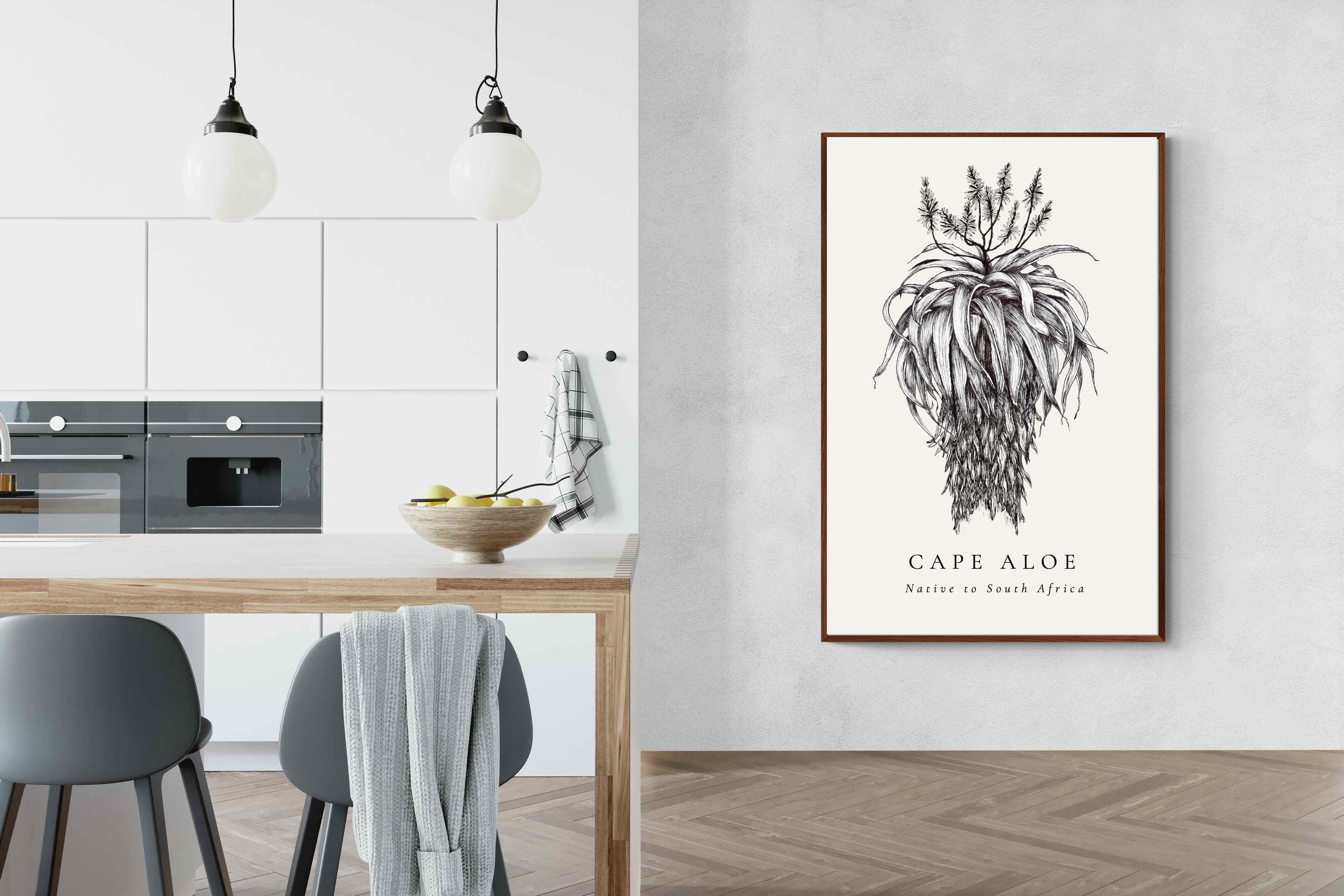 Pixalot ® Cape Aloe Illustration
