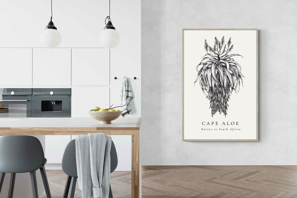 Pixalot ® Cape Aloe Illustration