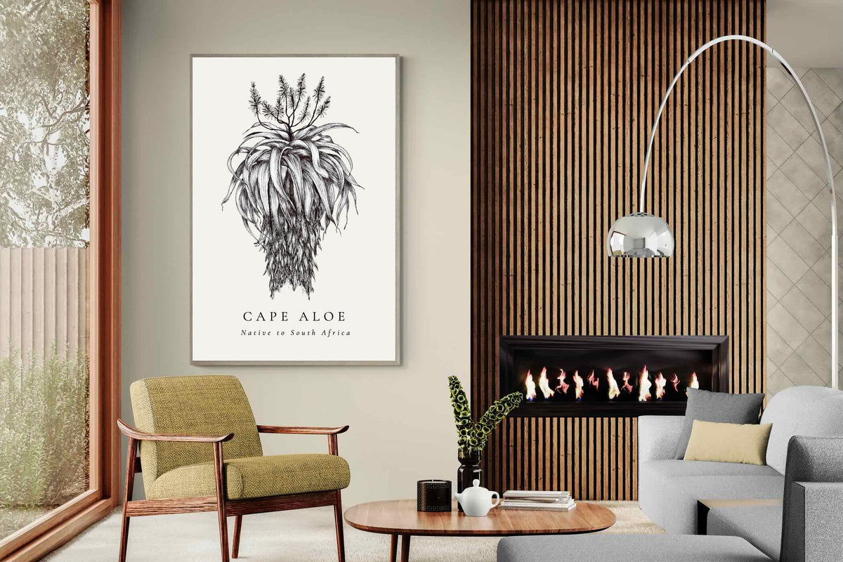 Pixalot ® Cape Aloe Illustration