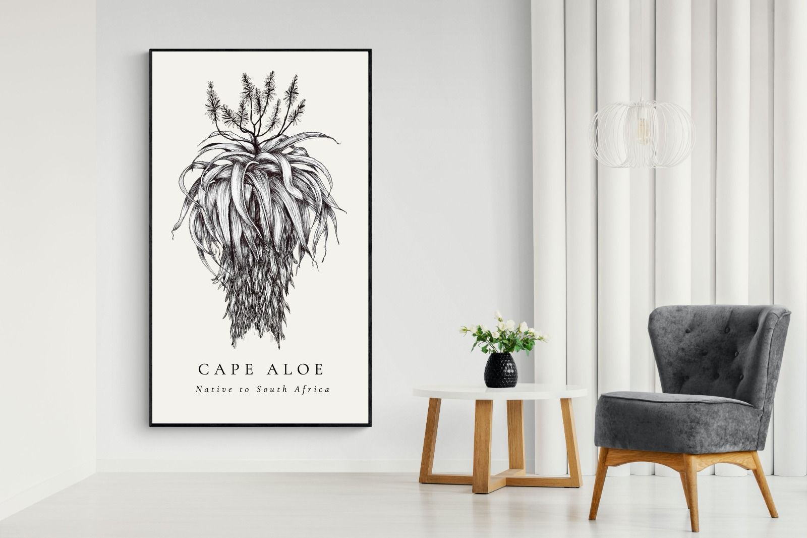 Pixalot ® Cape Aloe Illustration