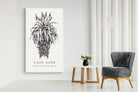 Pixalot ® Cape Aloe Illustration