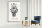 Pixalot ® Cape Aloe Illustration
