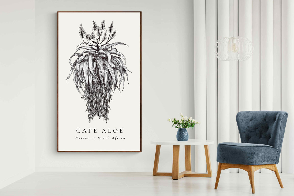 Pixalot ® Cape Aloe Illustration