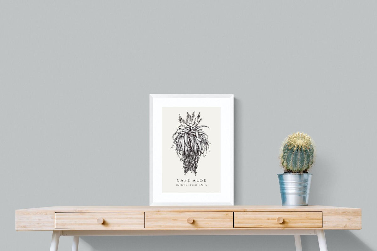 Pixalot ® Cape Aloe Illustration