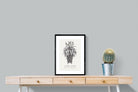 Pixalot ® Cape Aloe Illustration
