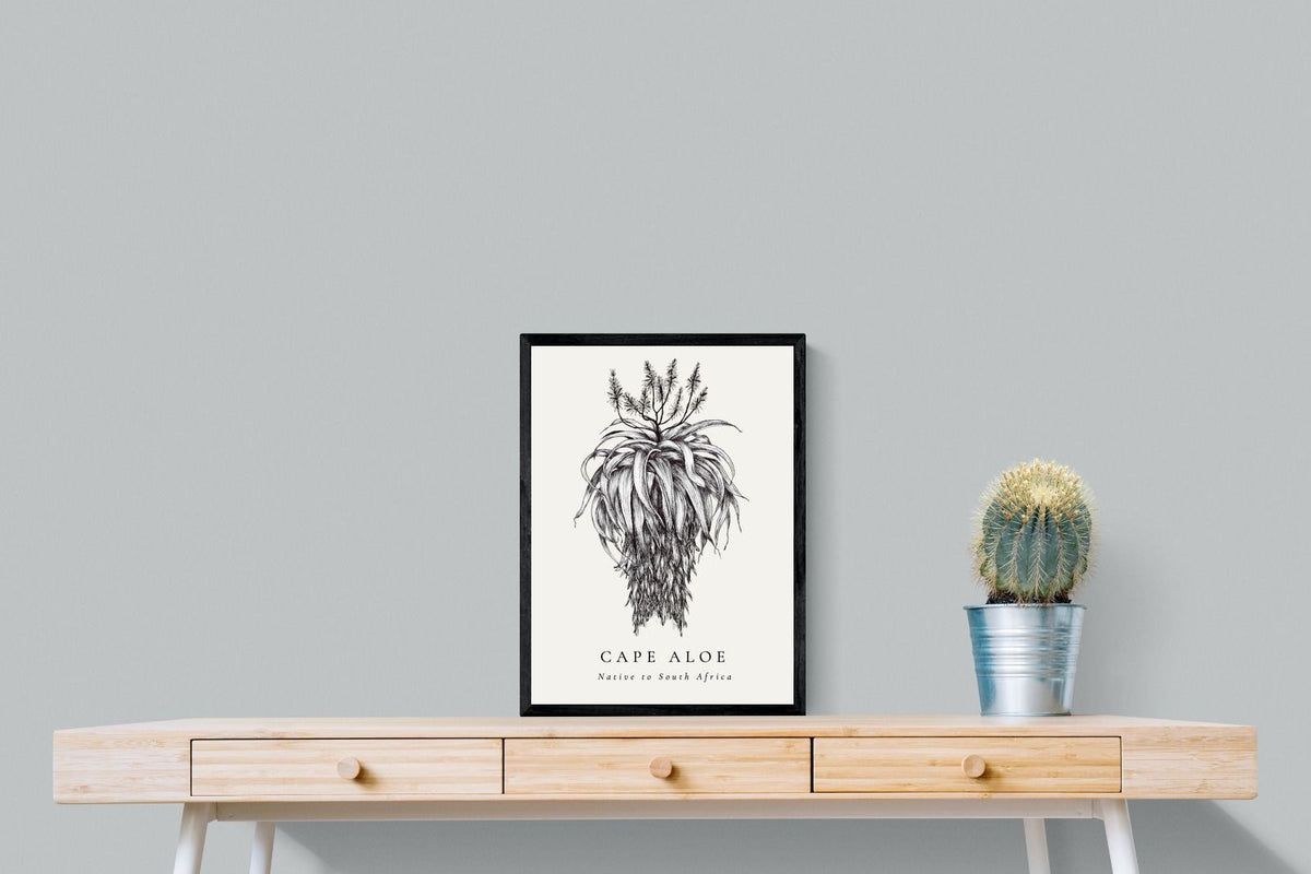 Pixalot ® Cape Aloe Illustration