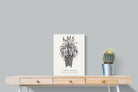Pixalot ® Cape Aloe Illustration
