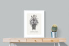 Pixalot ® Cape Aloe Illustration