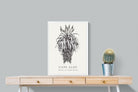 Pixalot ® Cape Aloe Illustration