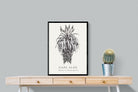 Pixalot ® Cape Aloe Illustration
