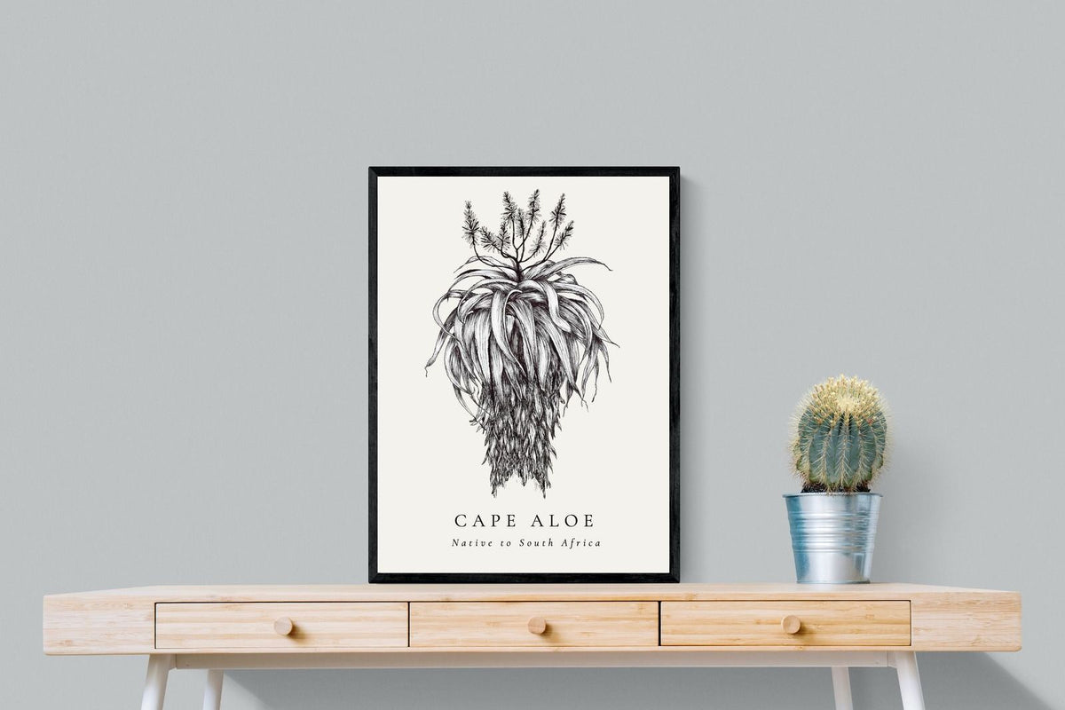 Pixalot ® Cape Aloe Illustration
