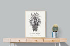 Pixalot ® Cape Aloe Illustration