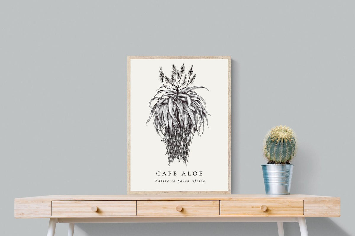 Pixalot ® Cape Aloe Illustration