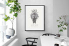 Pixalot ® Cape Aloe Illustration