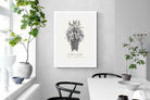 Pixalot ® Cape Aloe Illustration
