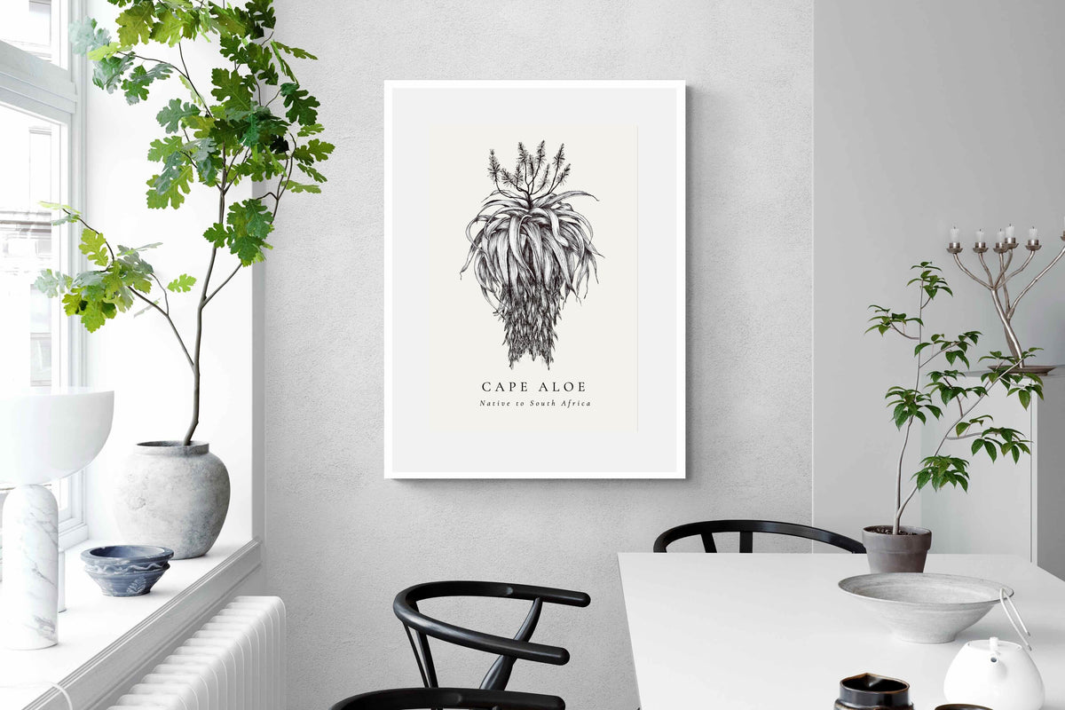 Pixalot ® Cape Aloe Illustration