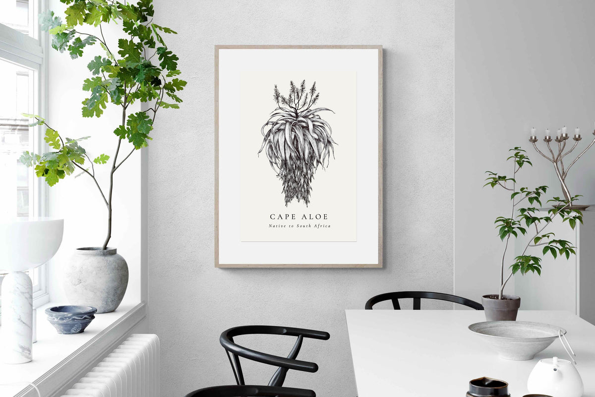 Pixalot ® Cape Aloe Illustration