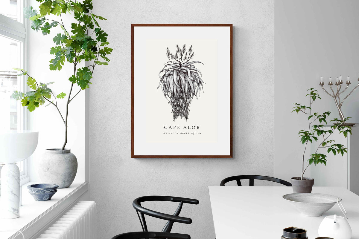 Pixalot ® Cape Aloe Illustration