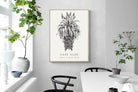 Pixalot ® Cape Aloe Illustration