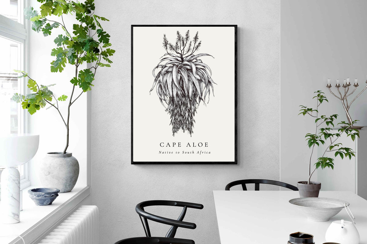 Pixalot ® Cape Aloe Illustration