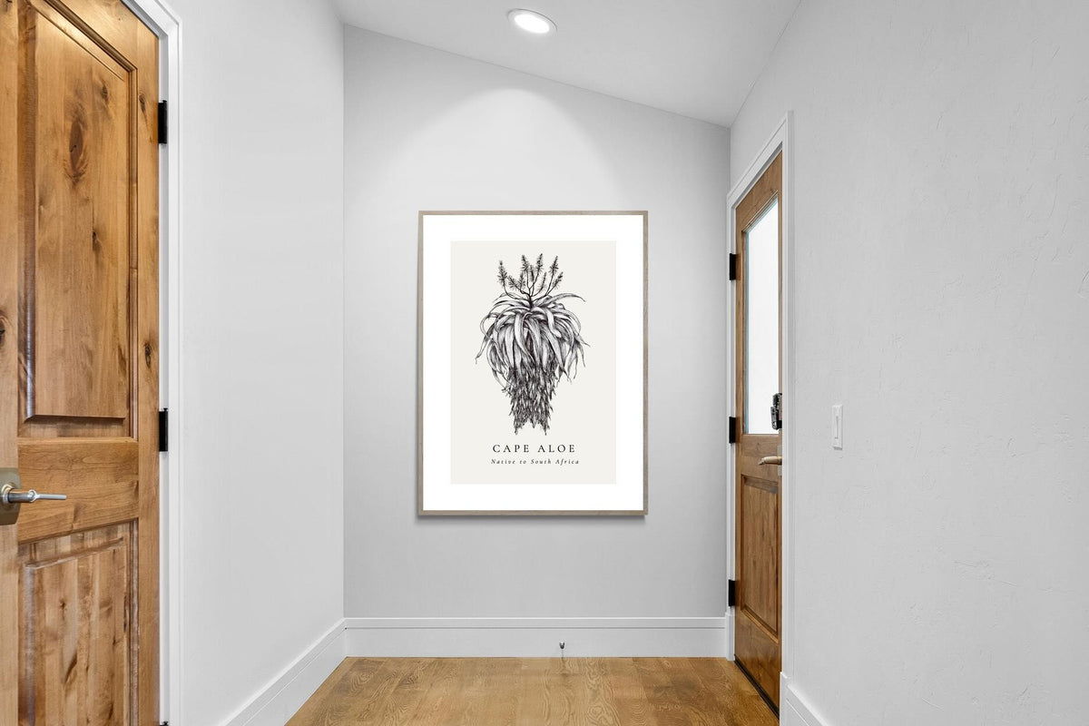 Pixalot ® Cape Aloe Illustration