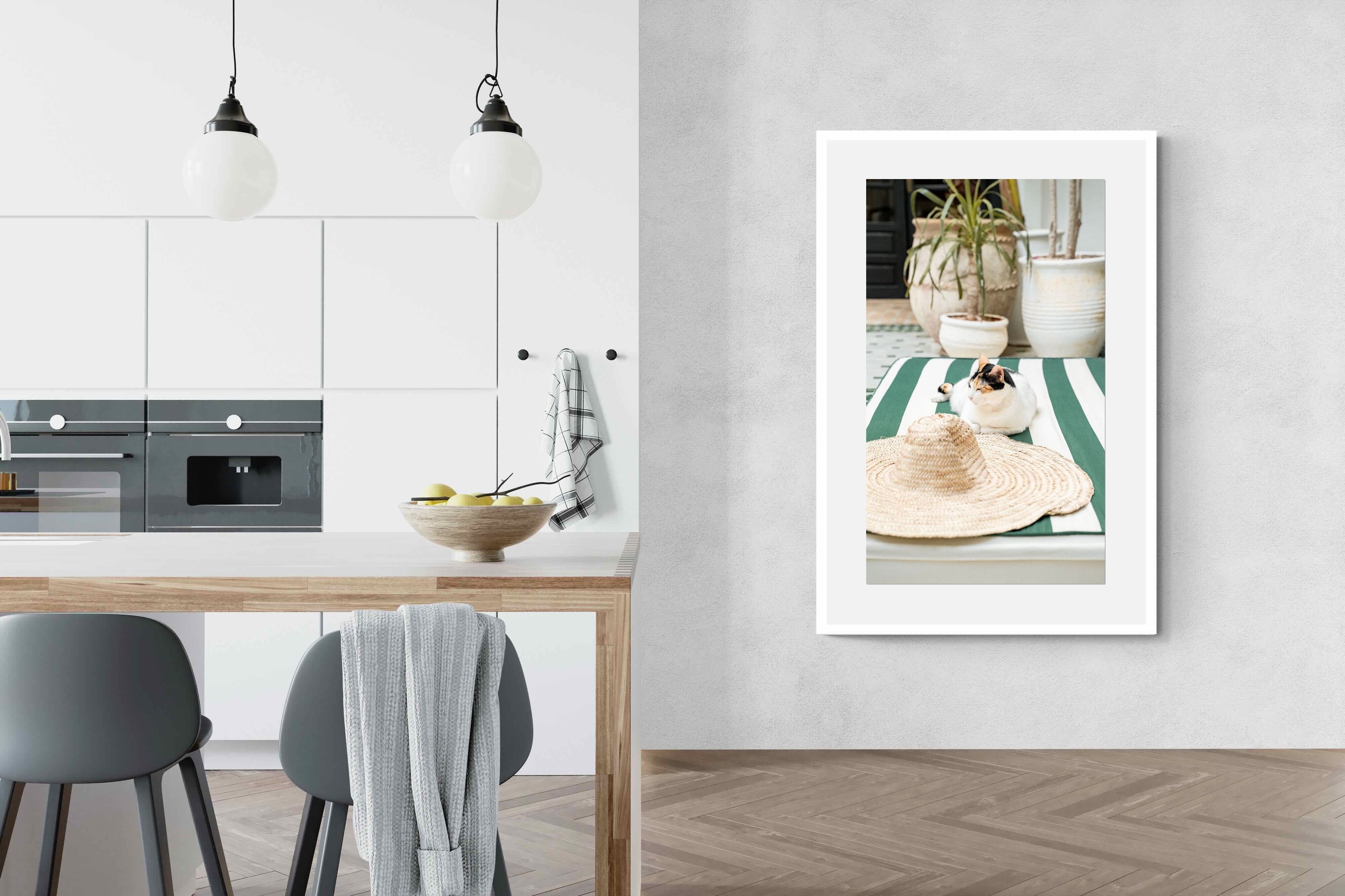 Pixalot Cat In Marrakech