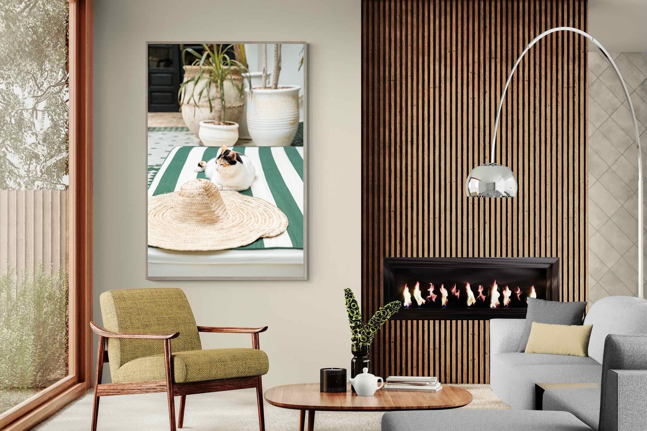 Pixalot Cat In Marrakech