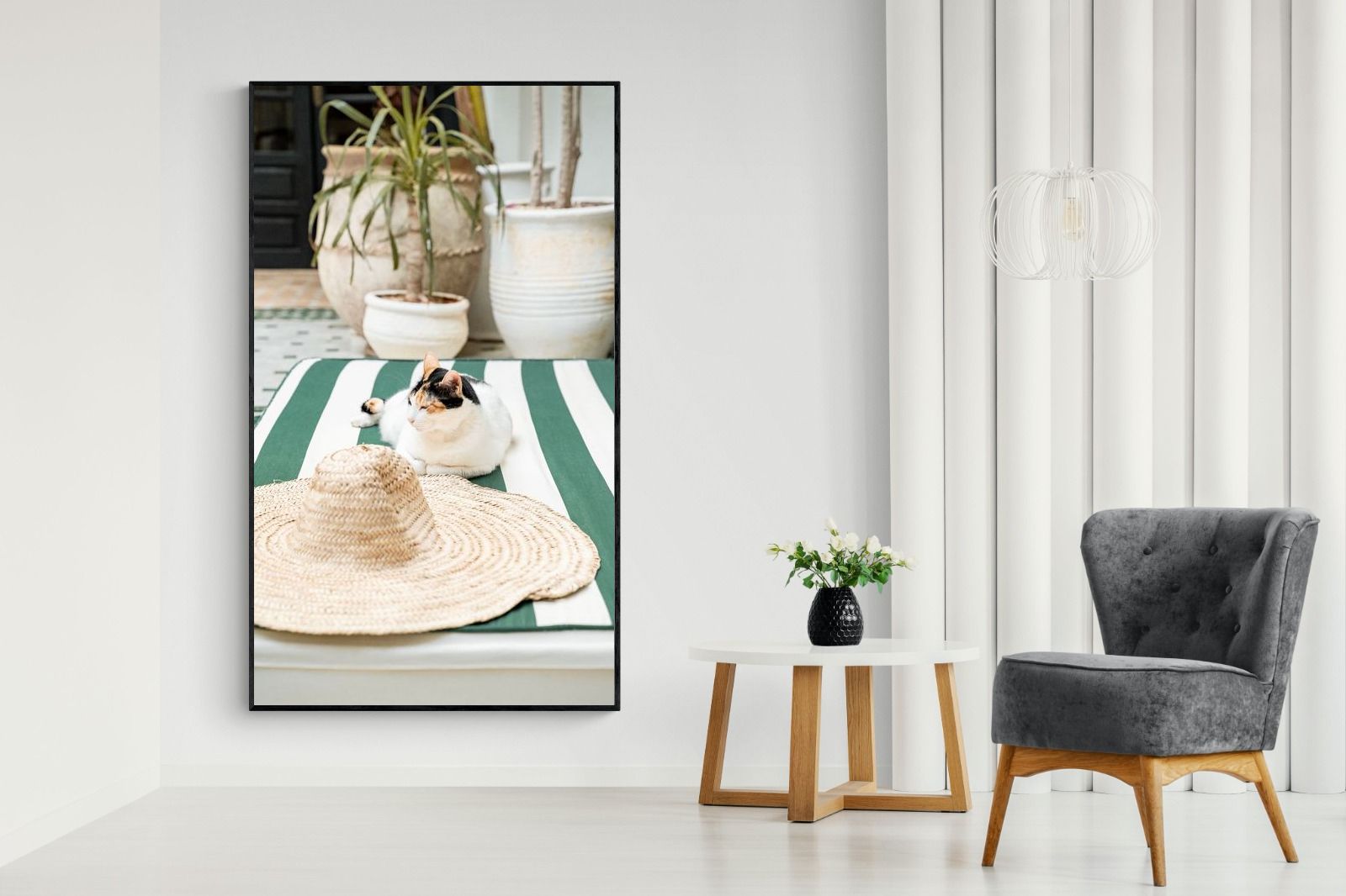 Pixalot Cat In Marrakech