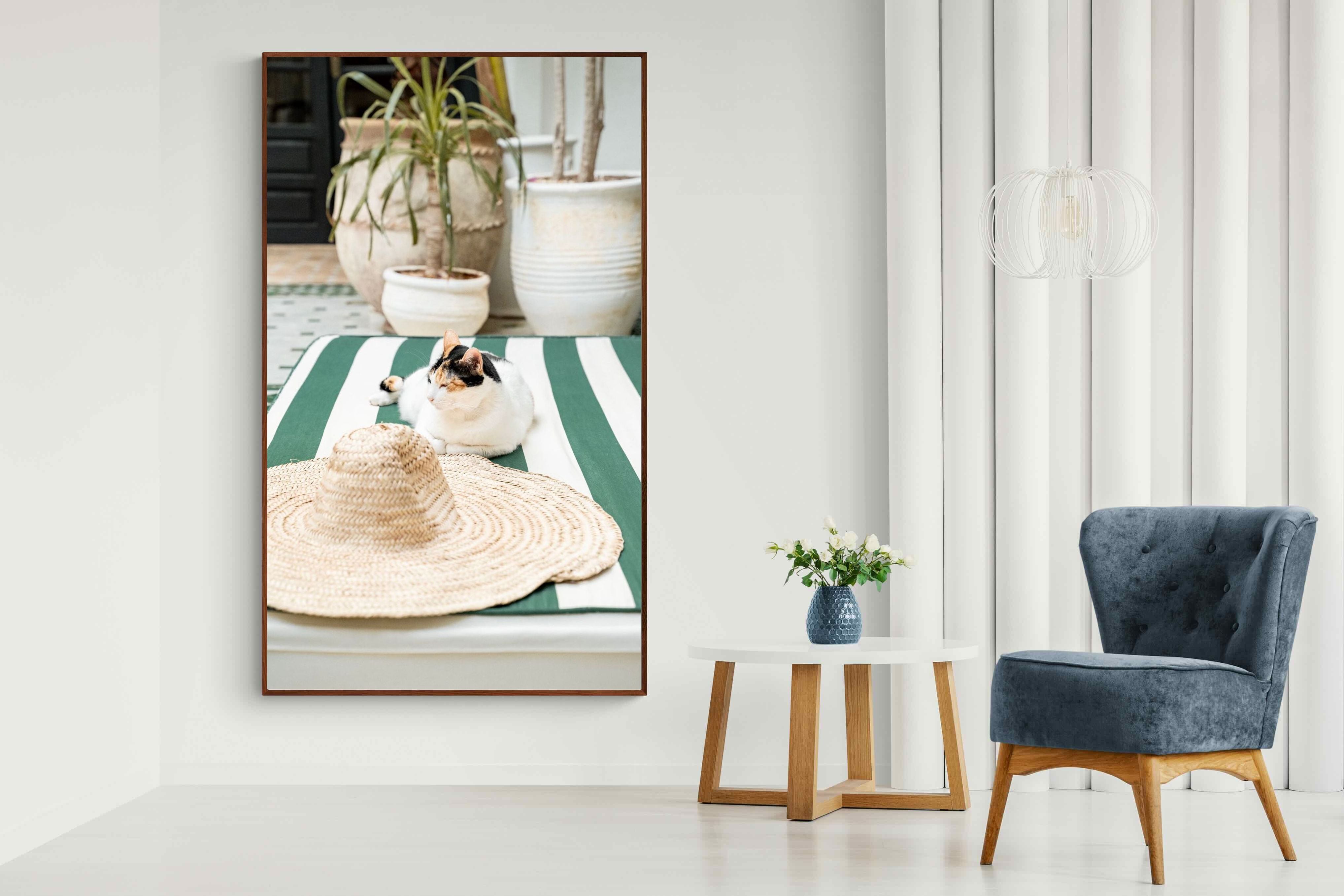 Pixalot Cat In Marrakech