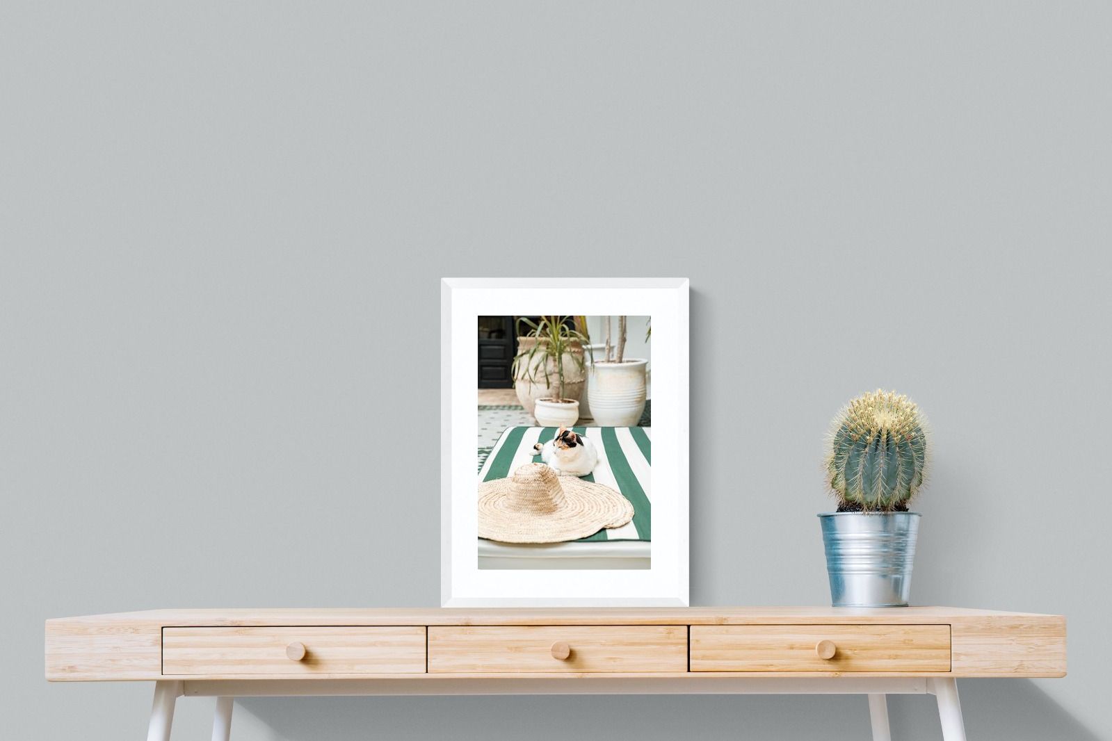 Pixalot Cat In Marrakech