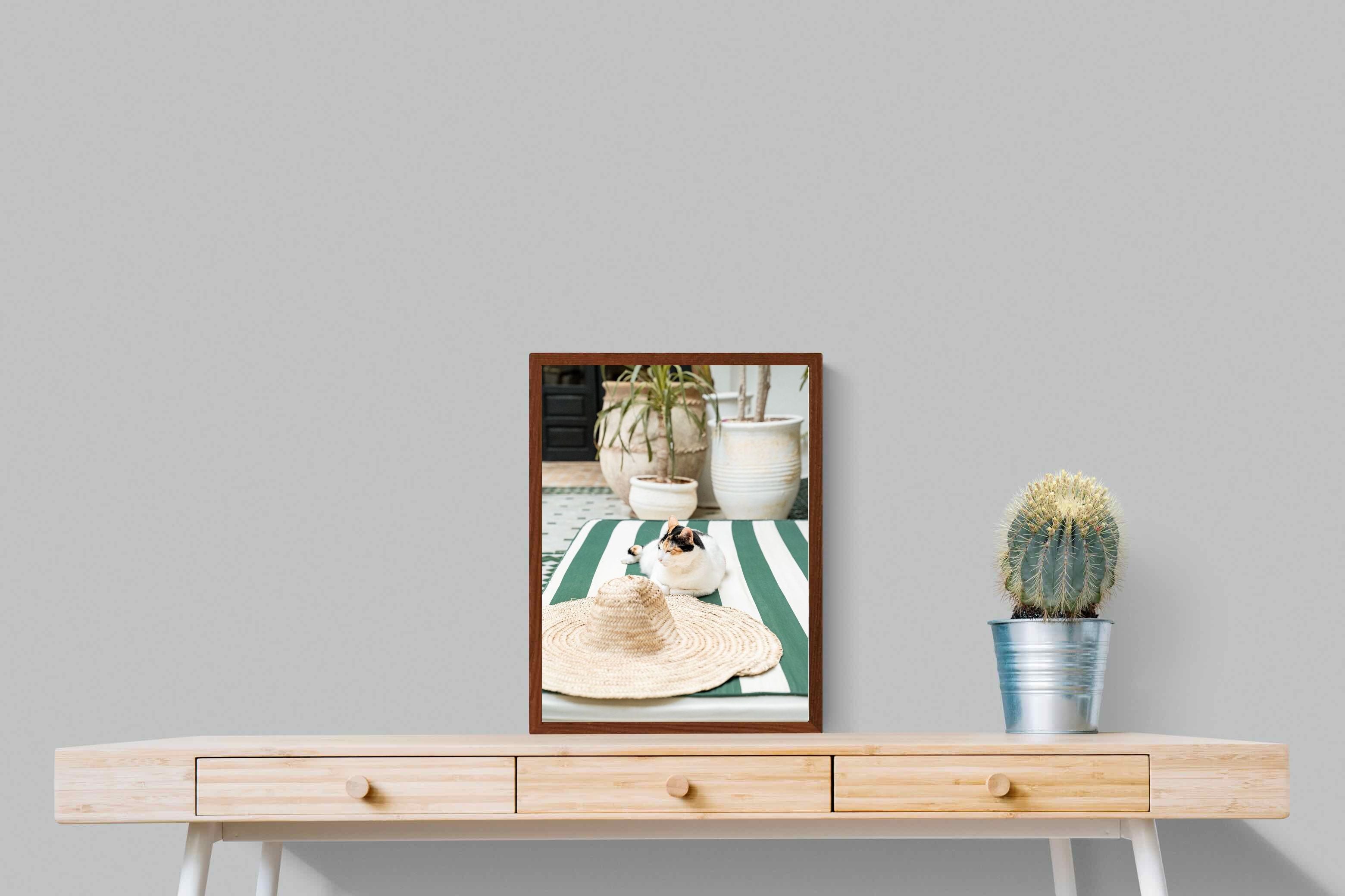 Pixalot Cat In Marrakech