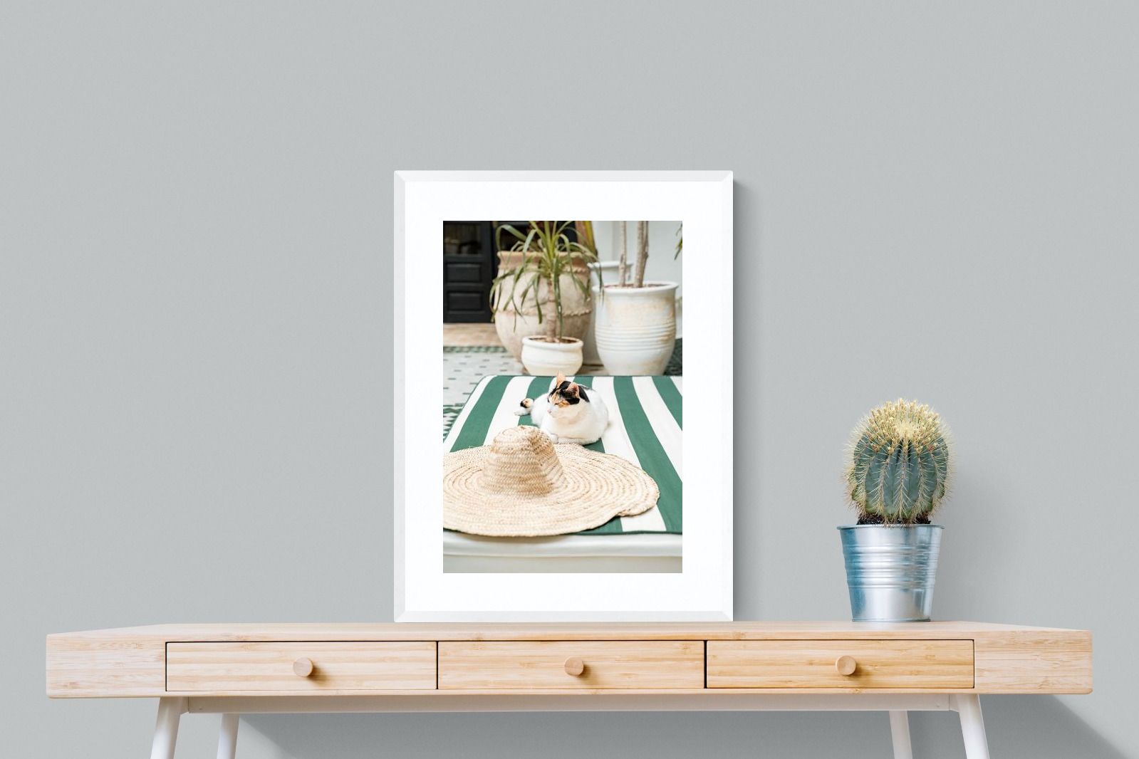 Pixalot Cat In Marrakech