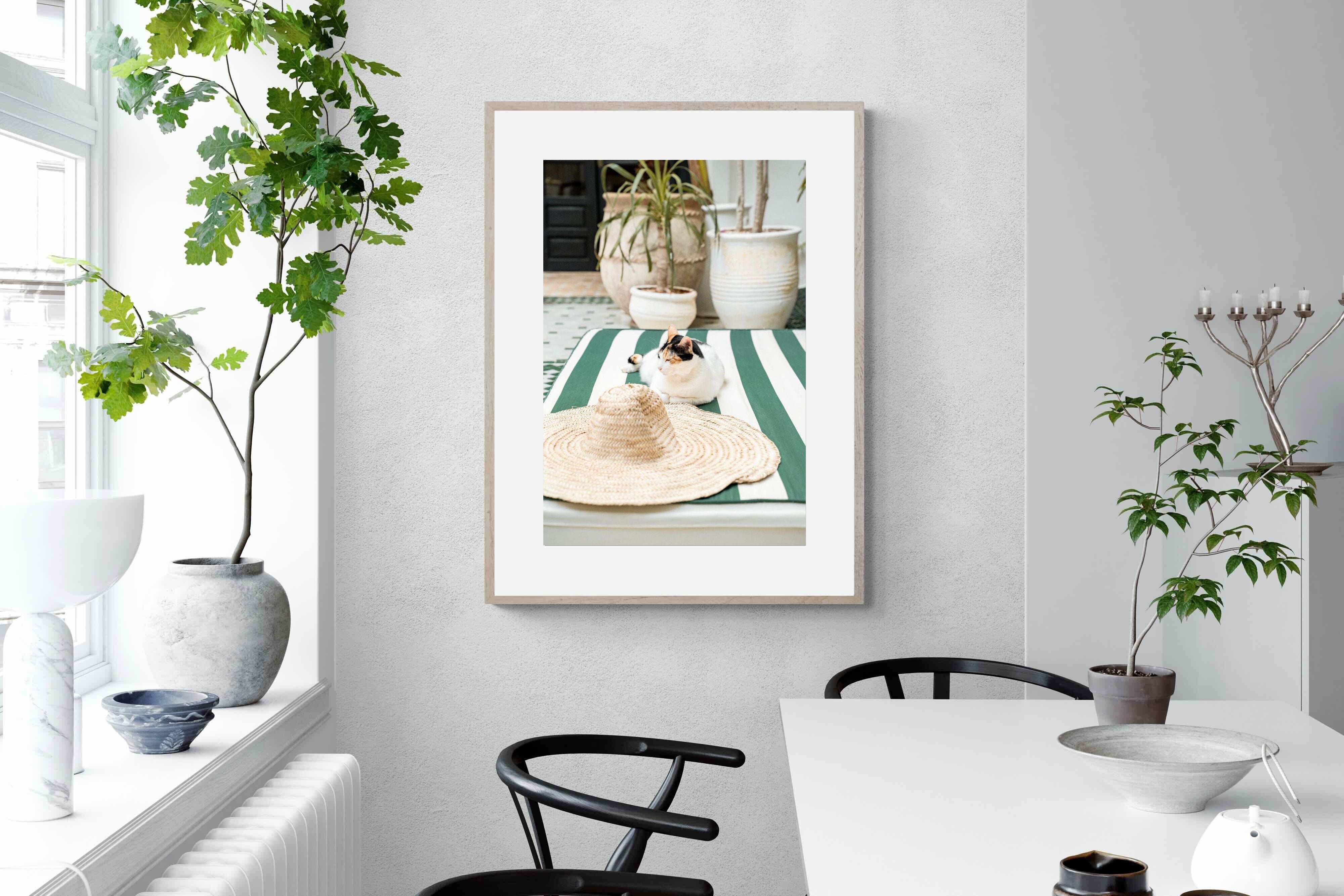 Pixalot Cat In Marrakech