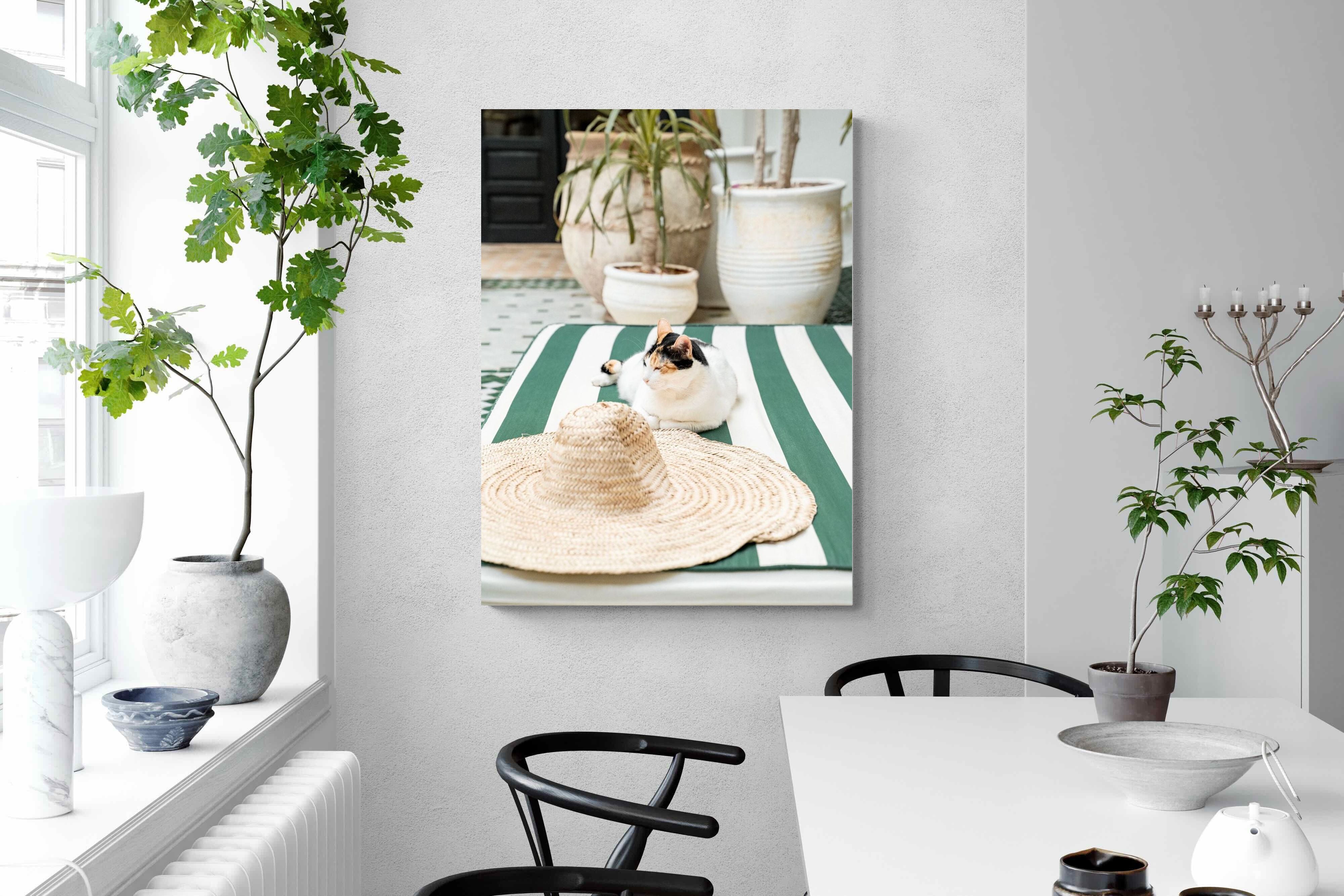 Pixalot Cat In Marrakech