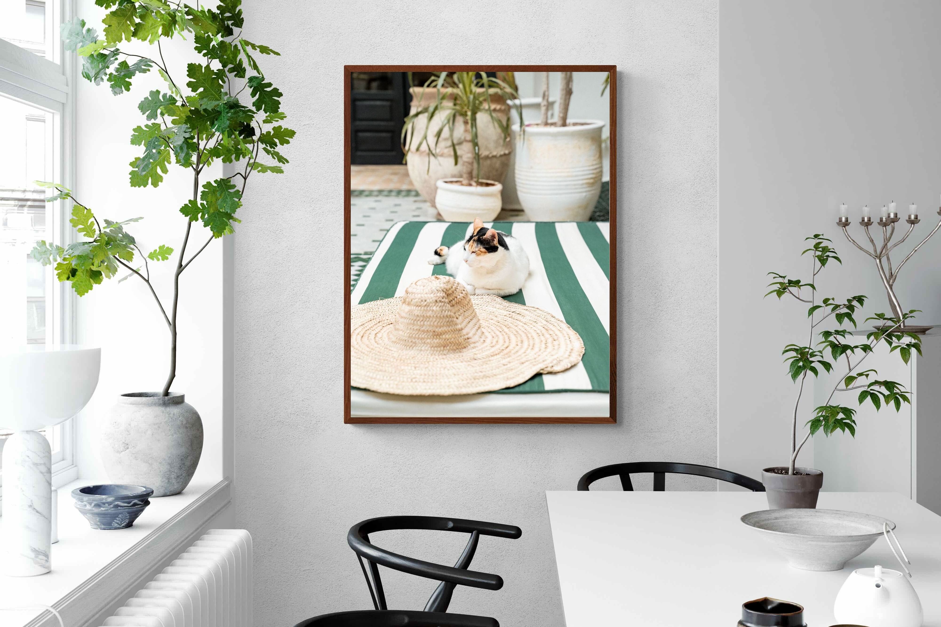 Pixalot Cat In Marrakech