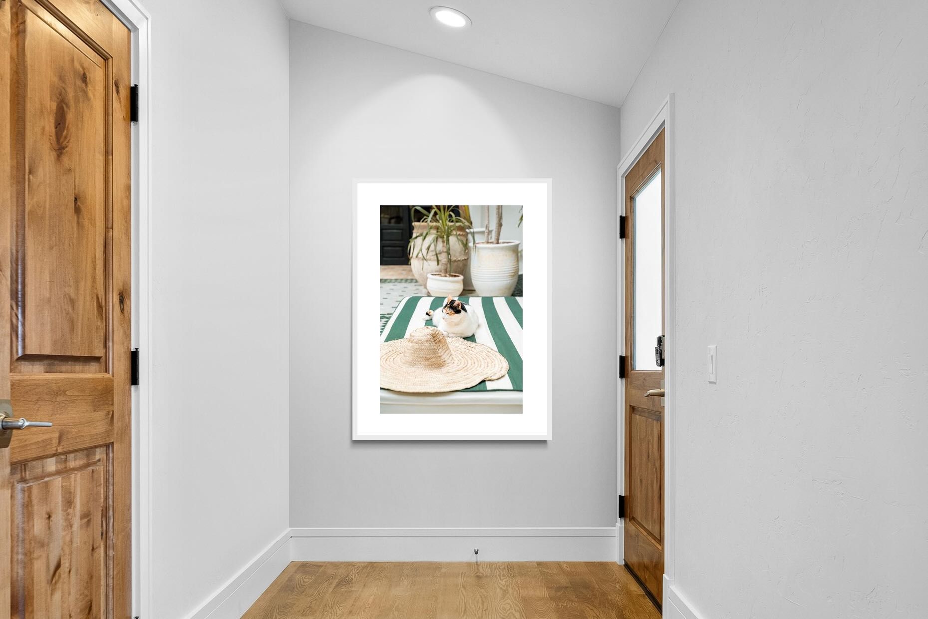 Pixalot Cat In Marrakech