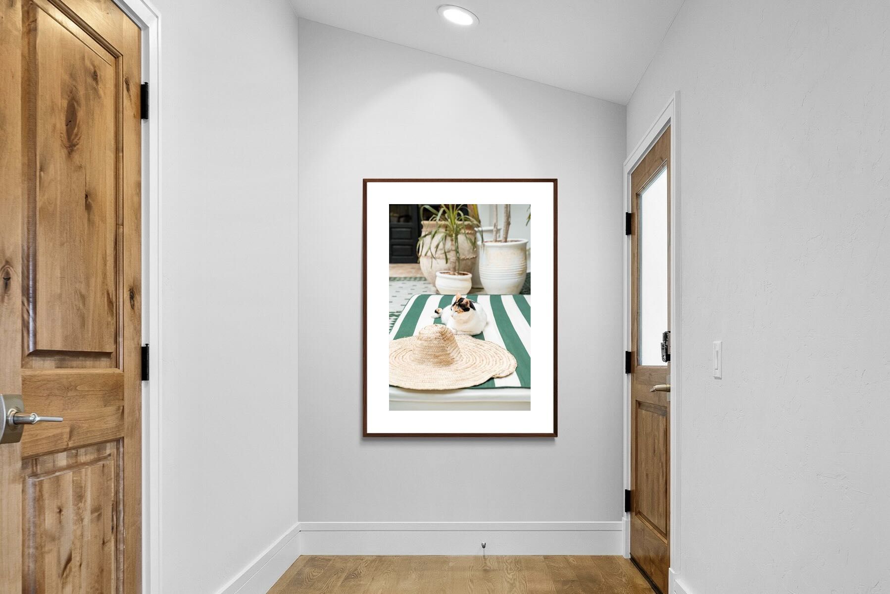 Pixalot Cat In Marrakech