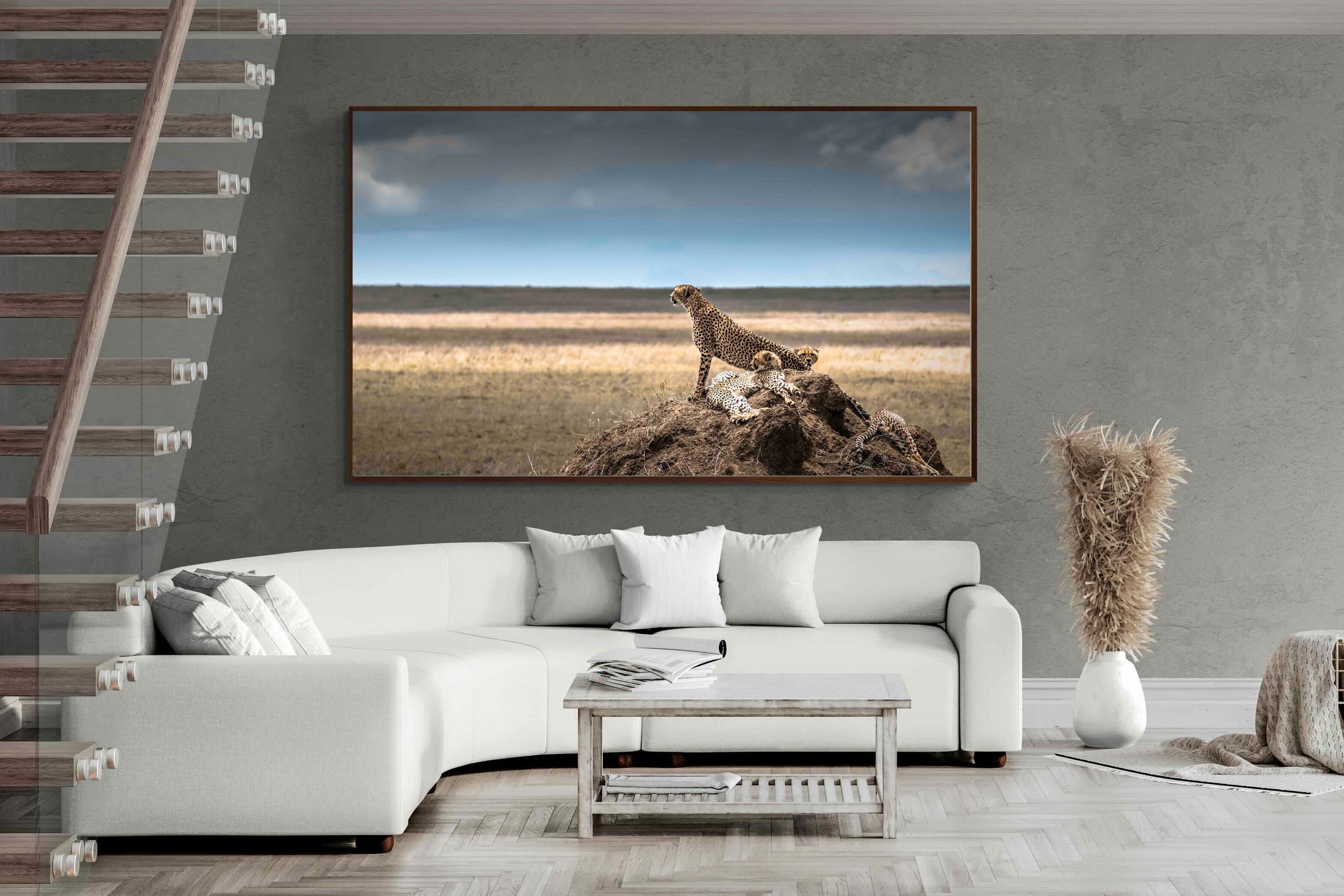 Pixalot ® Cheetah Family