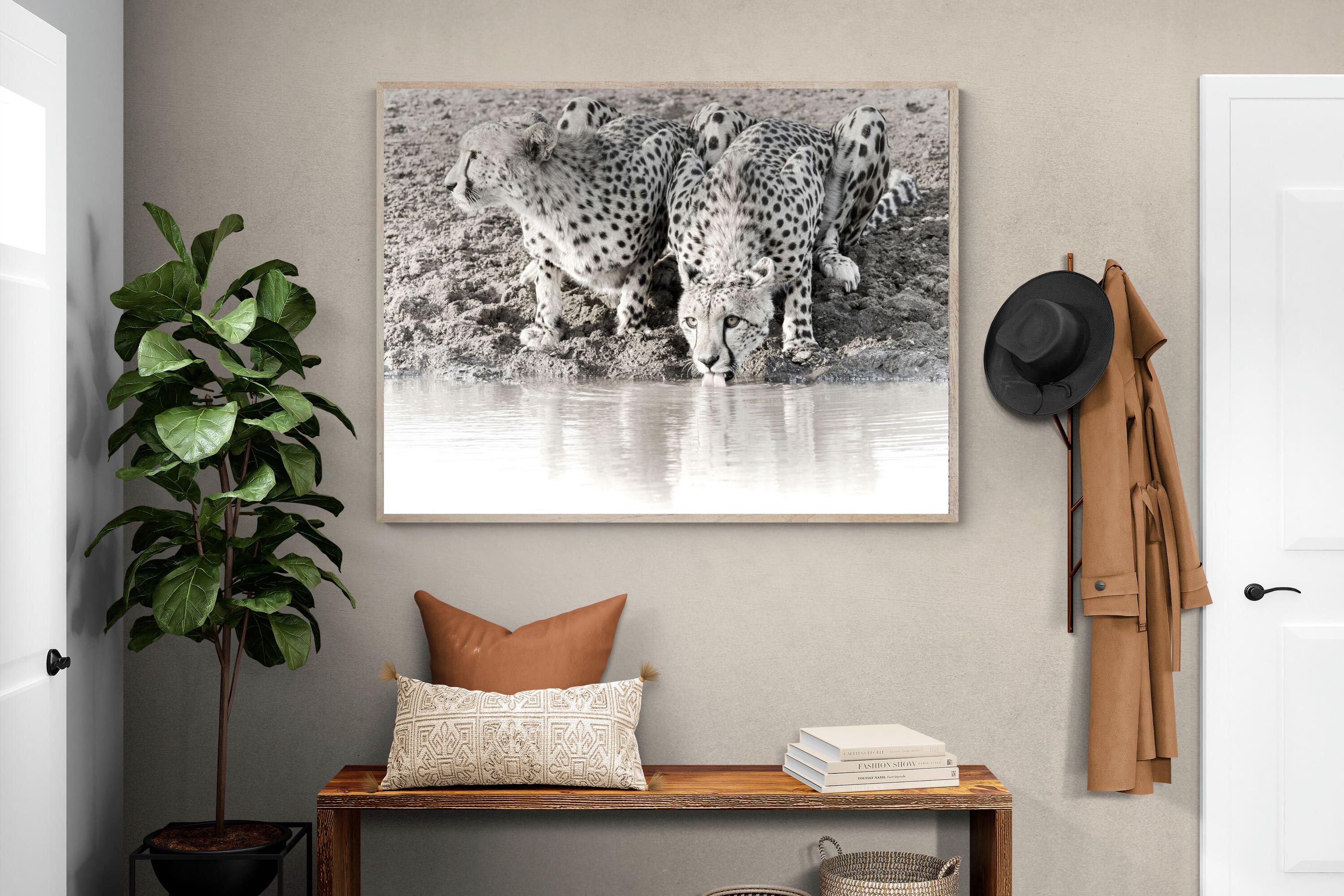 Pixalot Cheetah Sisters