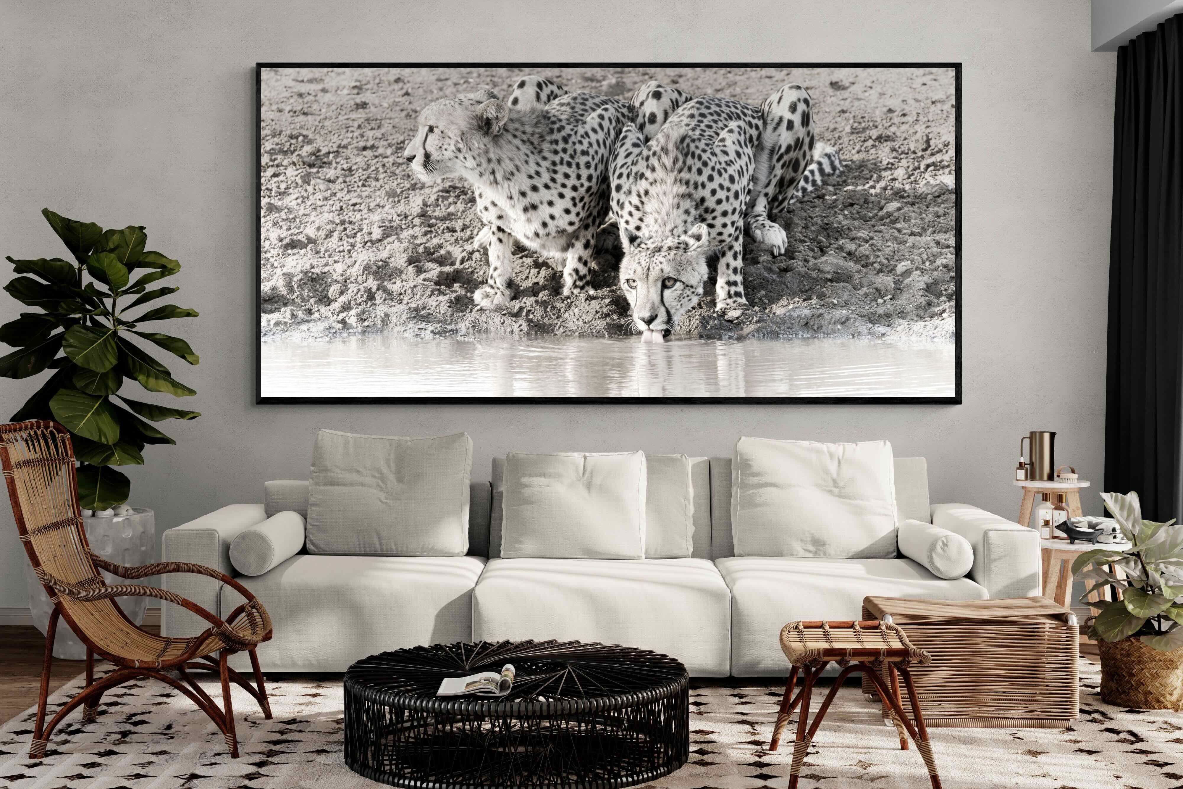 Pixalot Cheetah Sisters