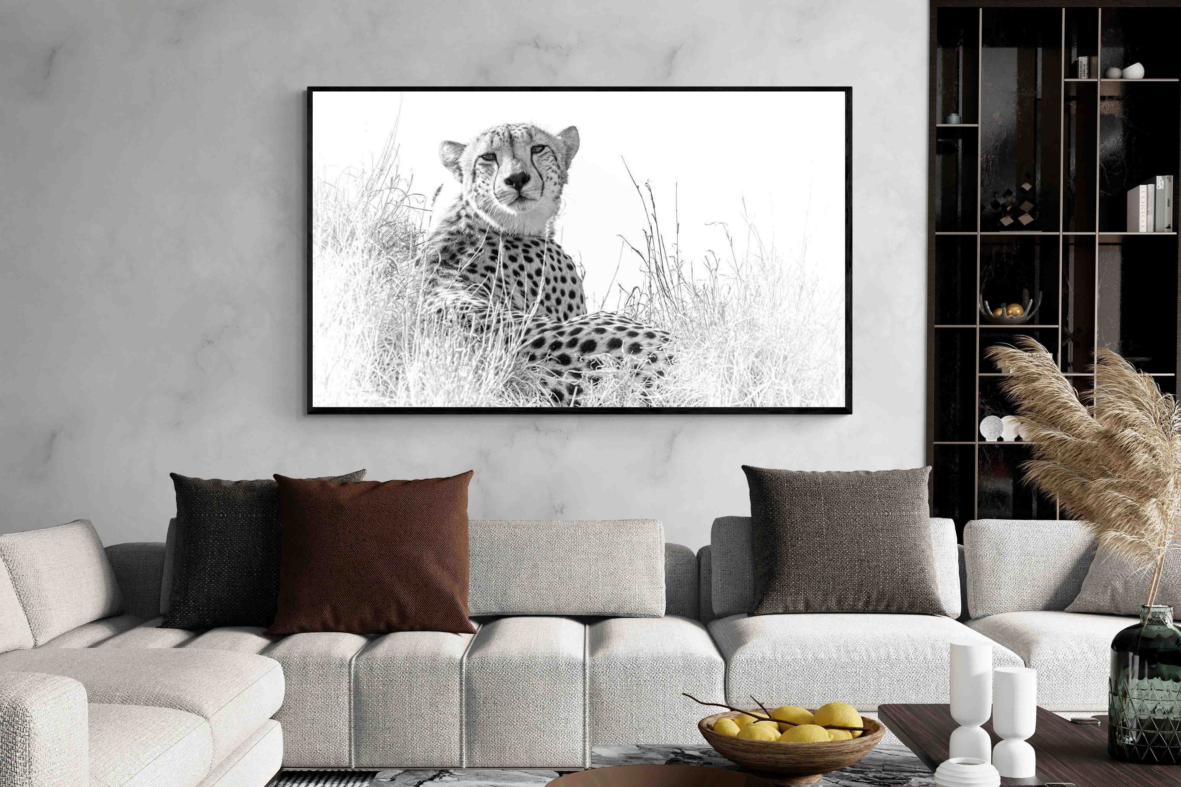 Pixalot Cheetah Whiteout