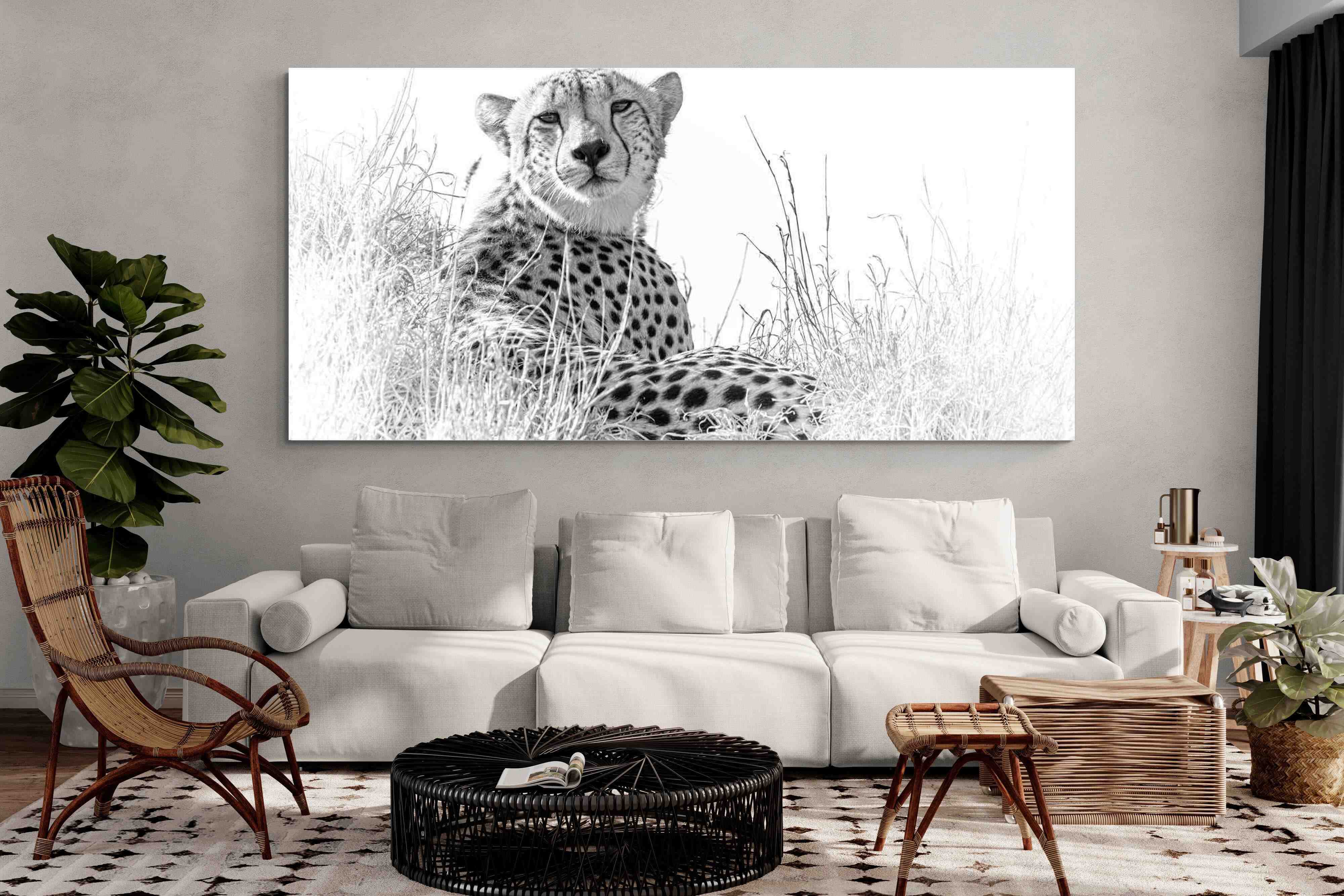 Pixalot Cheetah Whiteout