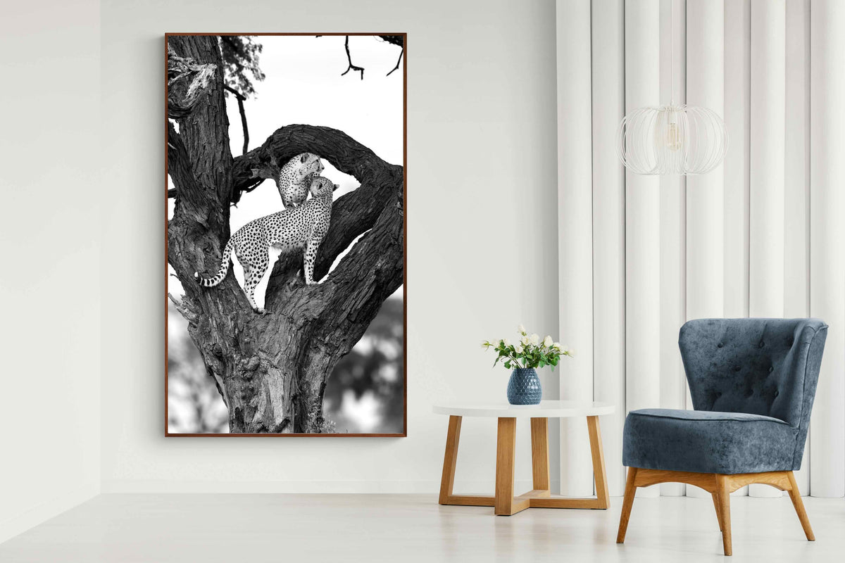 Pixalot ® Cheetahs in a Tree