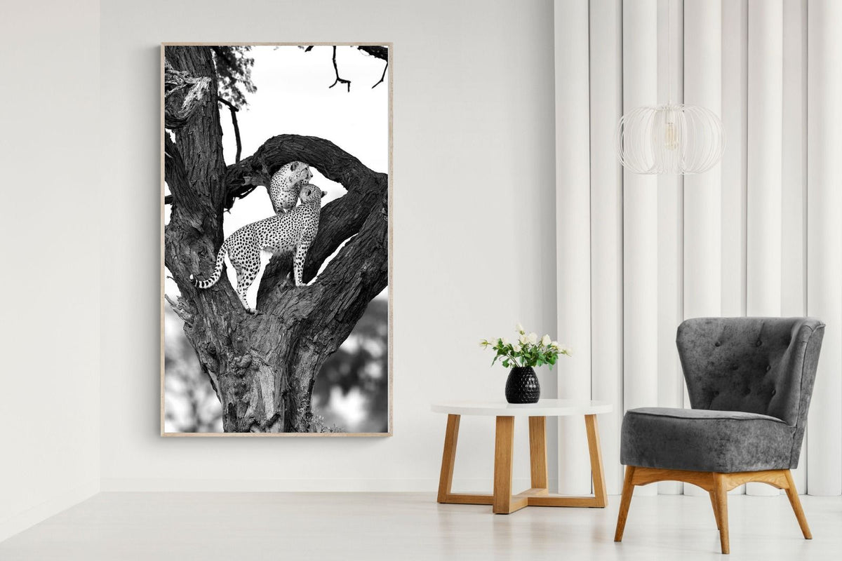 Pixalot ® Cheetahs in a Tree