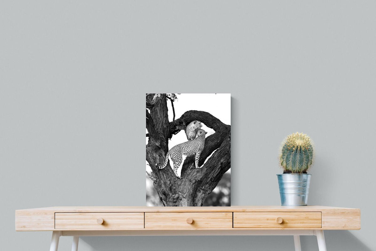 Pixalot ® Cheetahs in a Tree