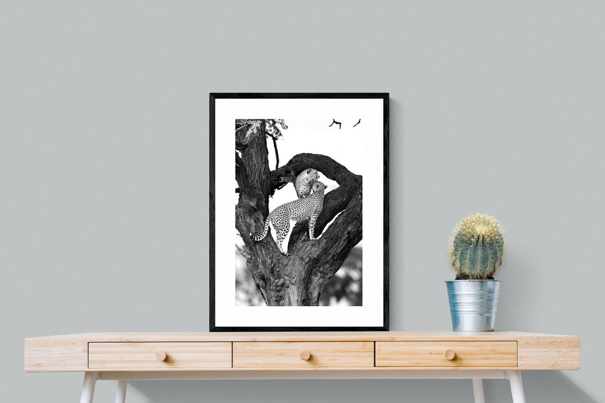 Pixalot ® Cheetahs in a Tree