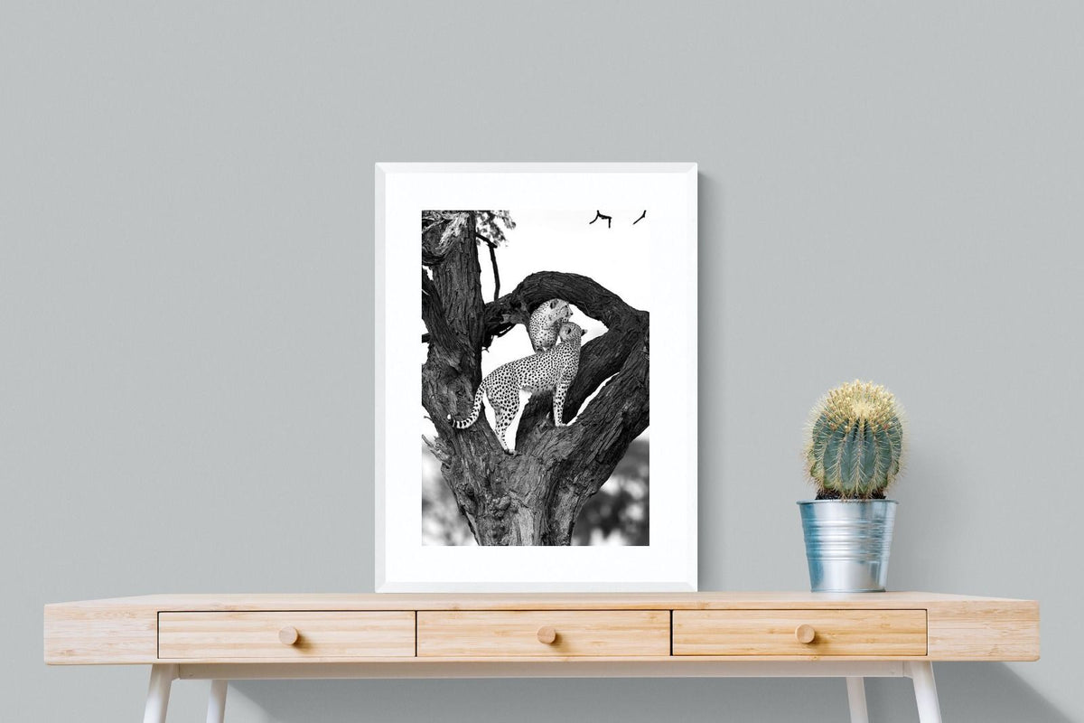 Pixalot ® Cheetahs in a Tree