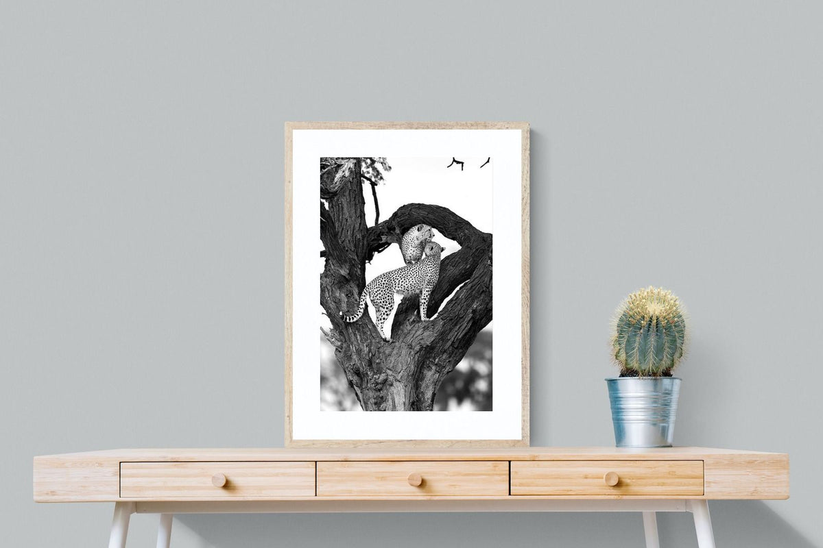 Pixalot ® Cheetahs in a Tree